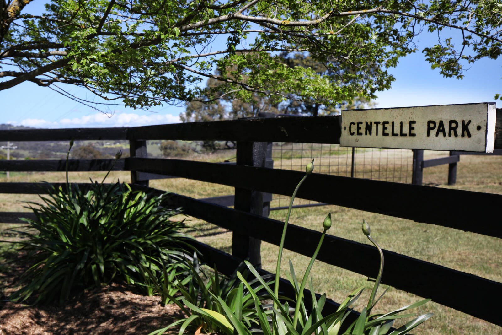 Real Estate and Property in 375 Dry Creek Road, Kilmore East, VIC