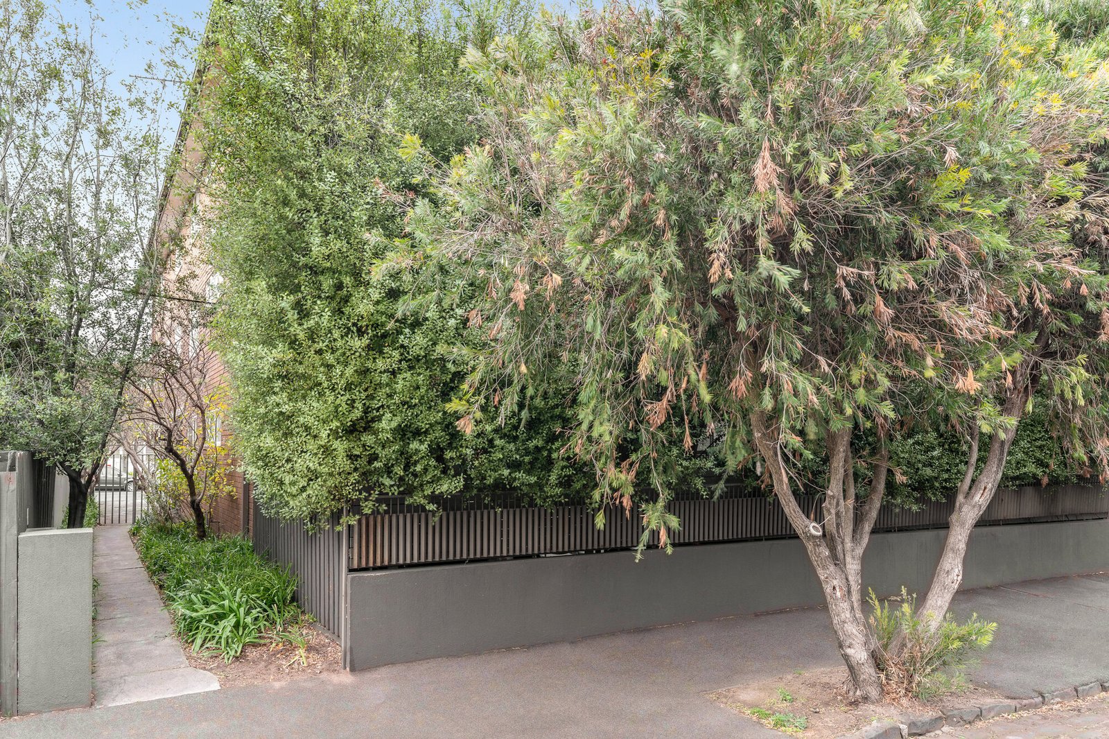Gallery: 3/75 Spenser Street