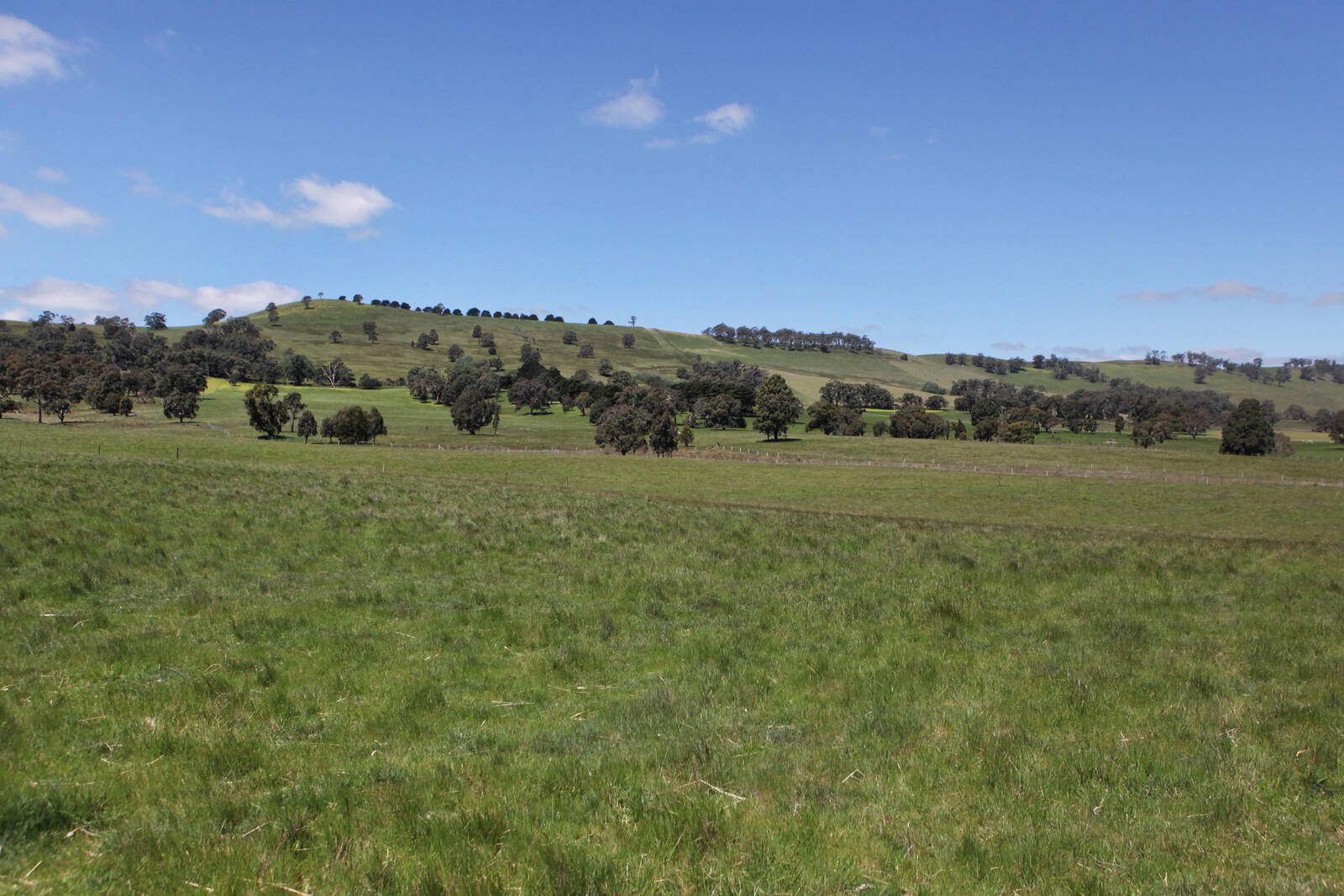 Real Estate and Property in 376 West Goldie Road, Goldie, VIC