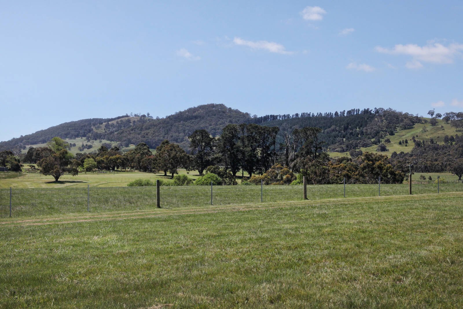 Real Estate and Property in 376 West Goldie Road, Goldie, VIC