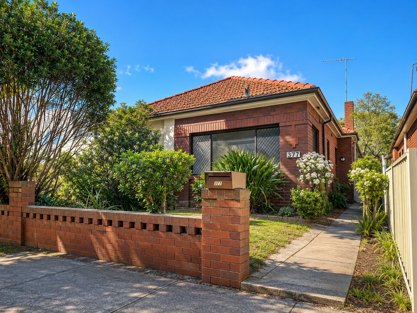 377 Avoca Street MAROUBRA 1