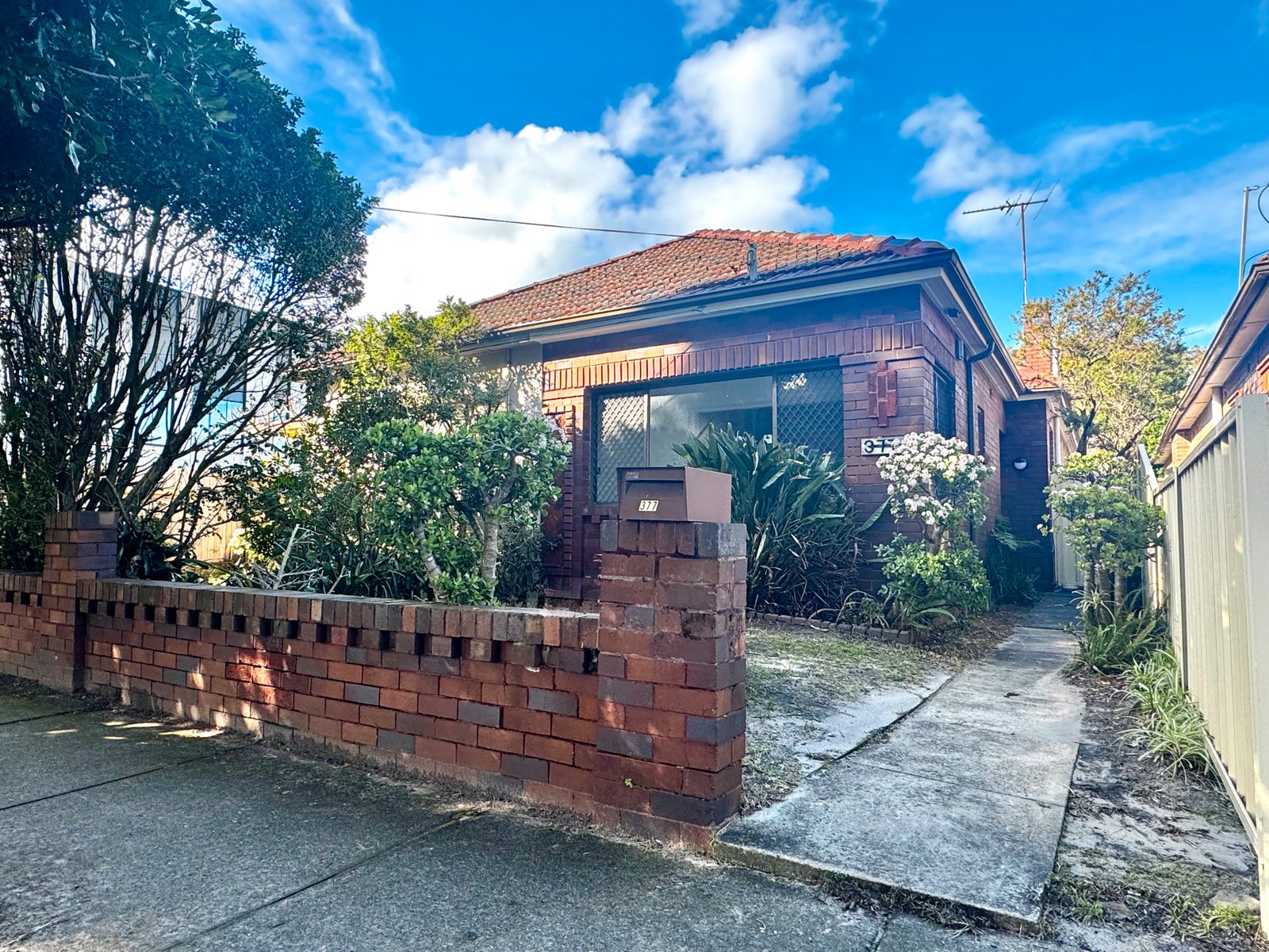 377 Avoca Street MAROUBRA 1