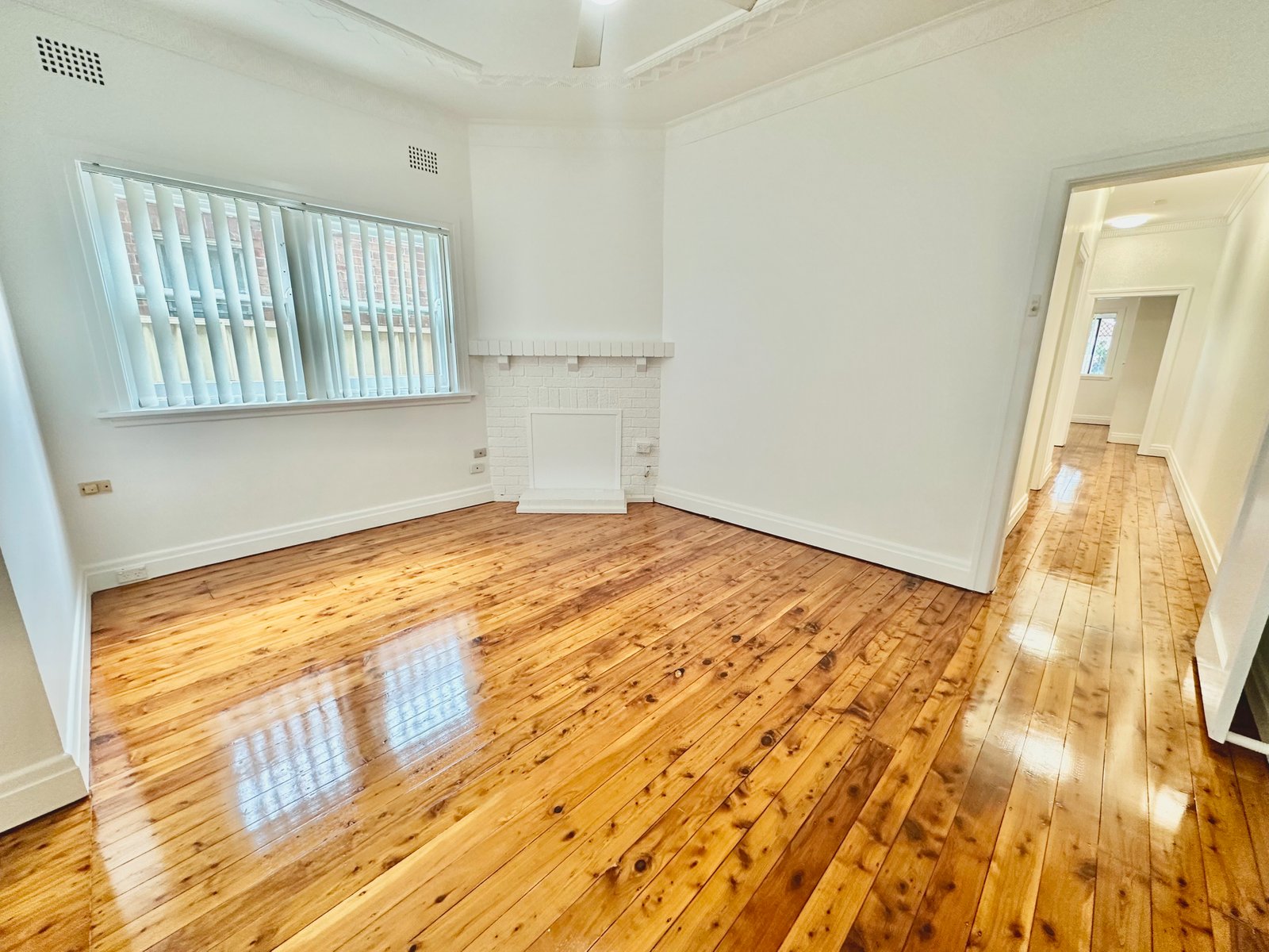 377 Avoca Street MAROUBRA 4