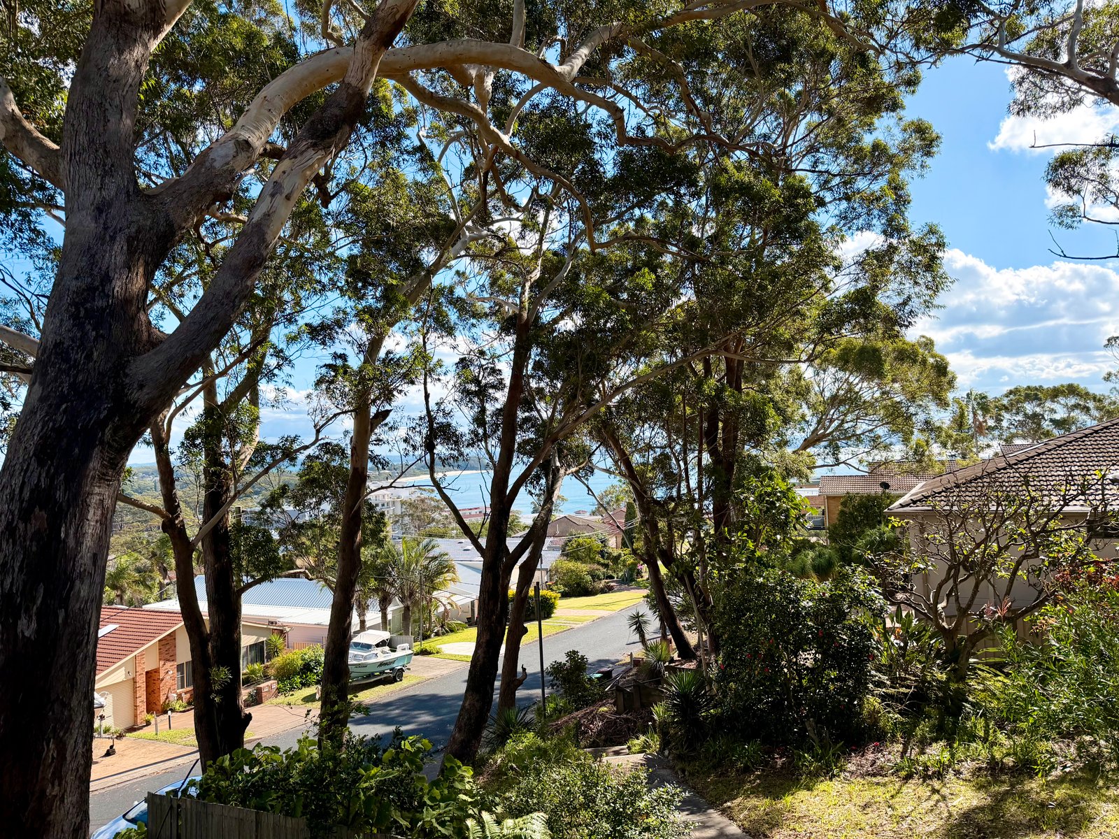 3/77 Ronald Avenue SHOAL BAY 6