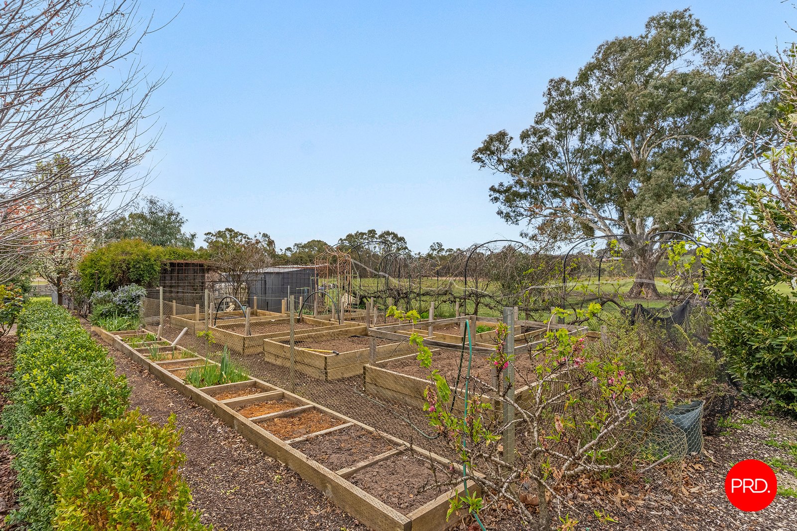 378 Pinjarra Drive LOCKWOOD SOUTH 31