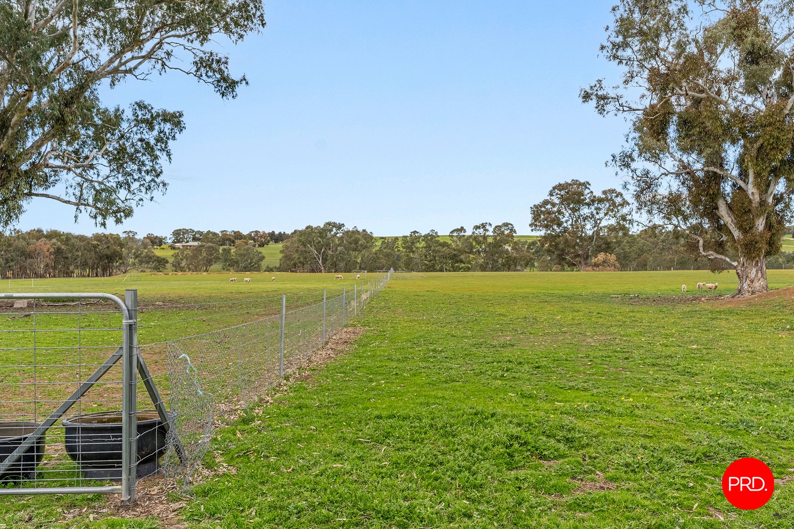 378 Pinjarra Drive LOCKWOOD SOUTH 32