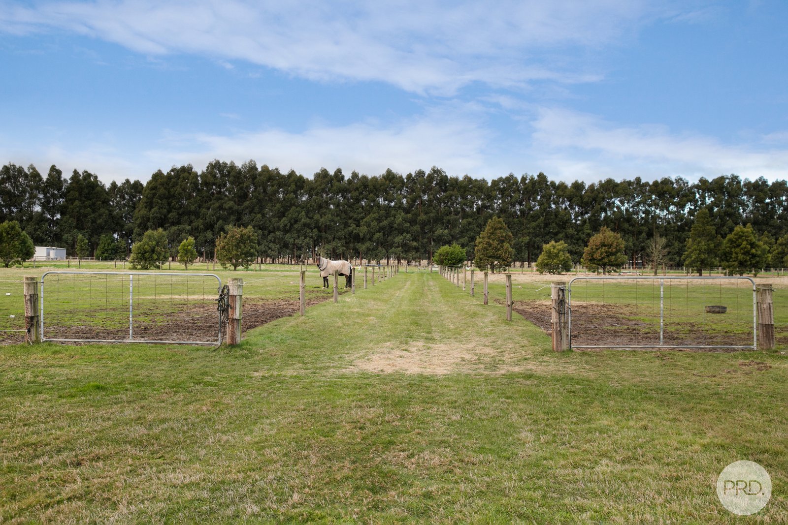 378 Racecourse Road BALLAN 25