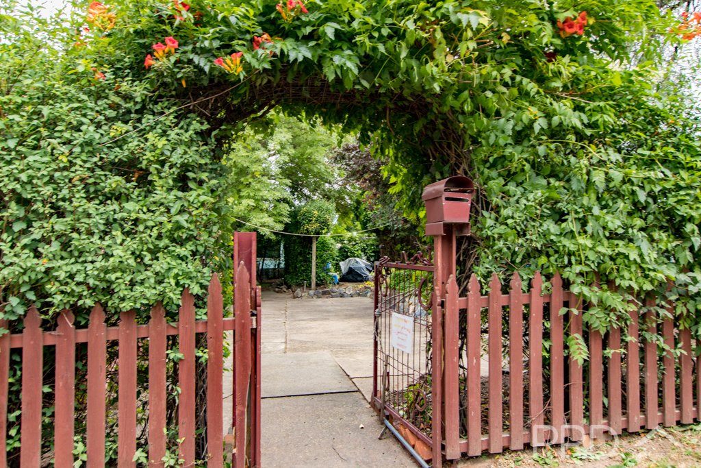 38 & 40 Adelong Road TUMUT 15