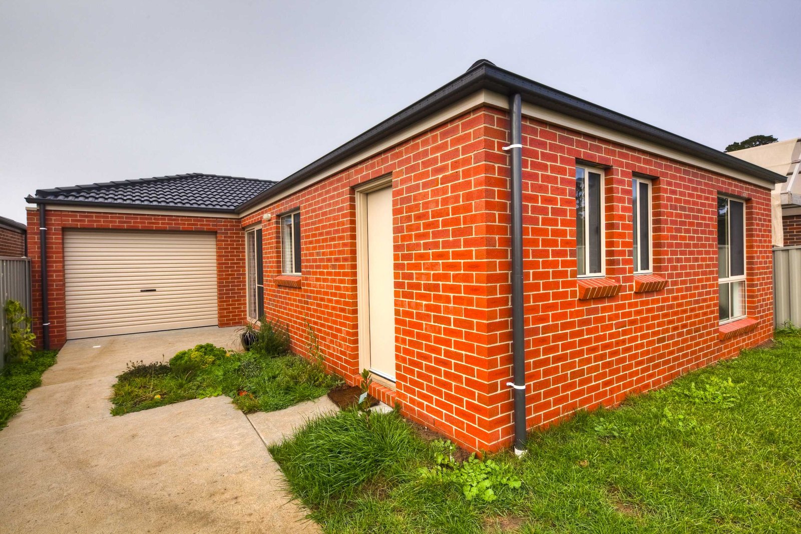 38 Ashwood Gardens MITCHELL PARK 8