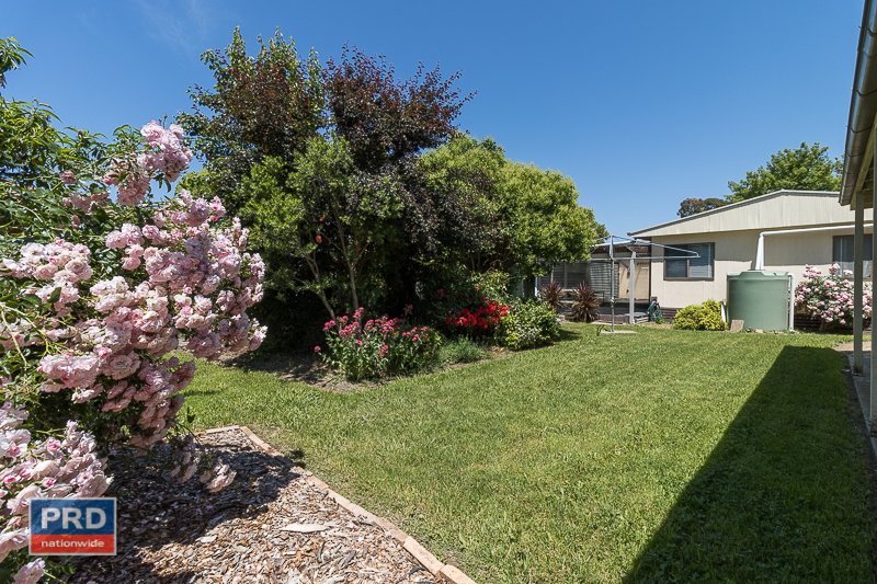 38 Butmaroo Street BUNGENDORE 3