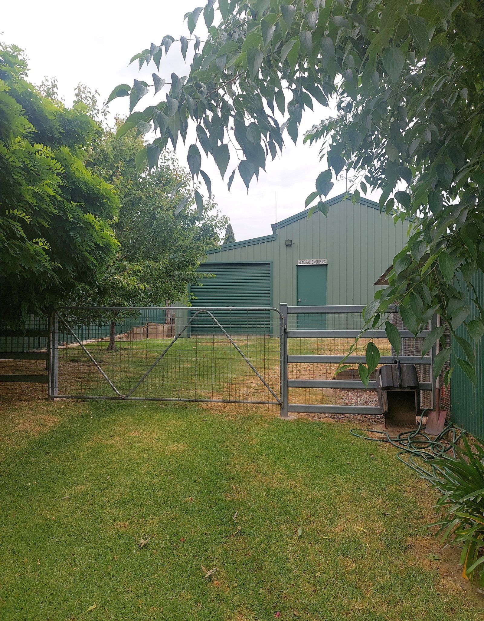 38 Clarke Street Tumut  TUMUT 4