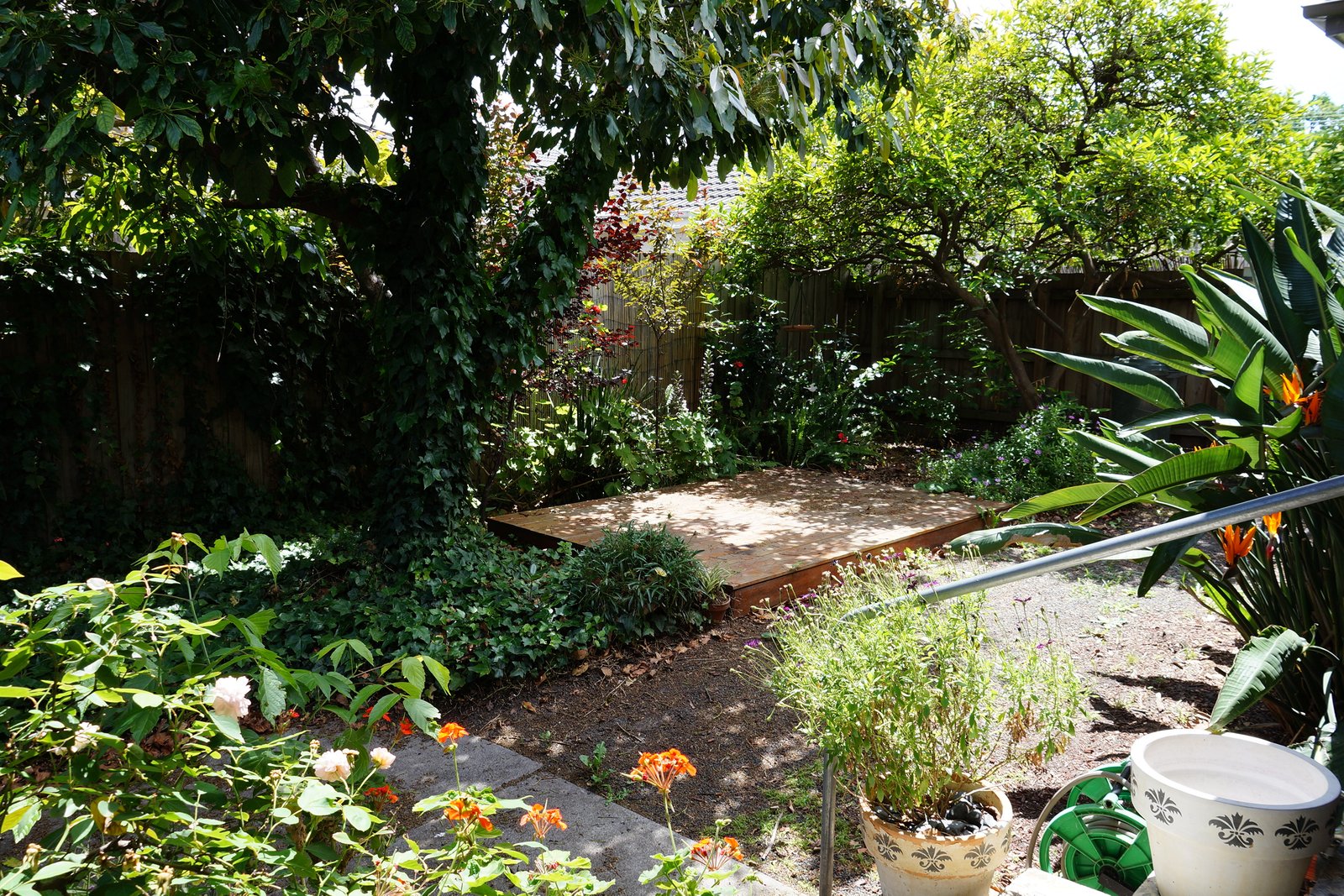 Gallery: 3/8 Clive Street