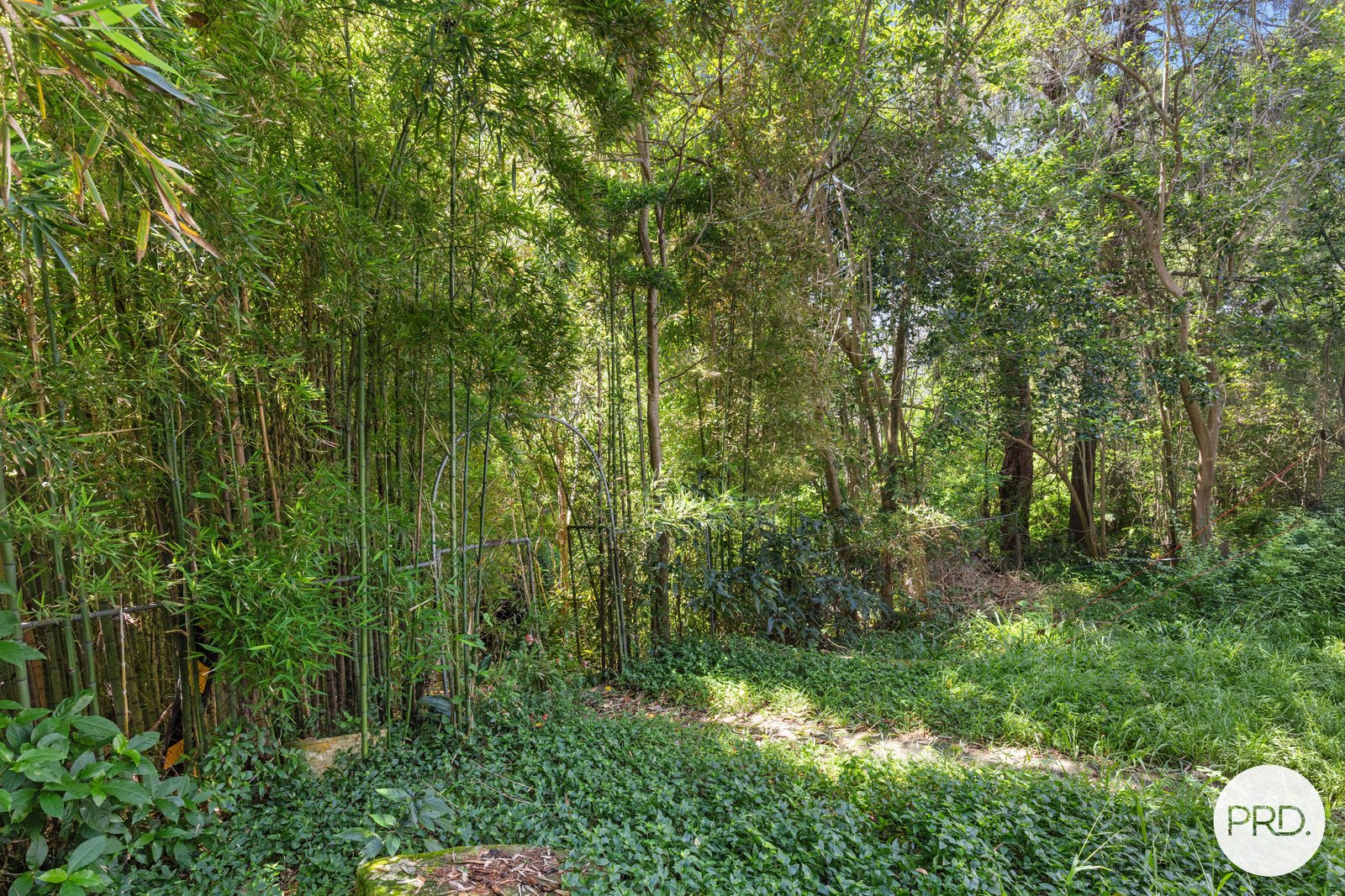 38 Dudley Street PENSHURST 12