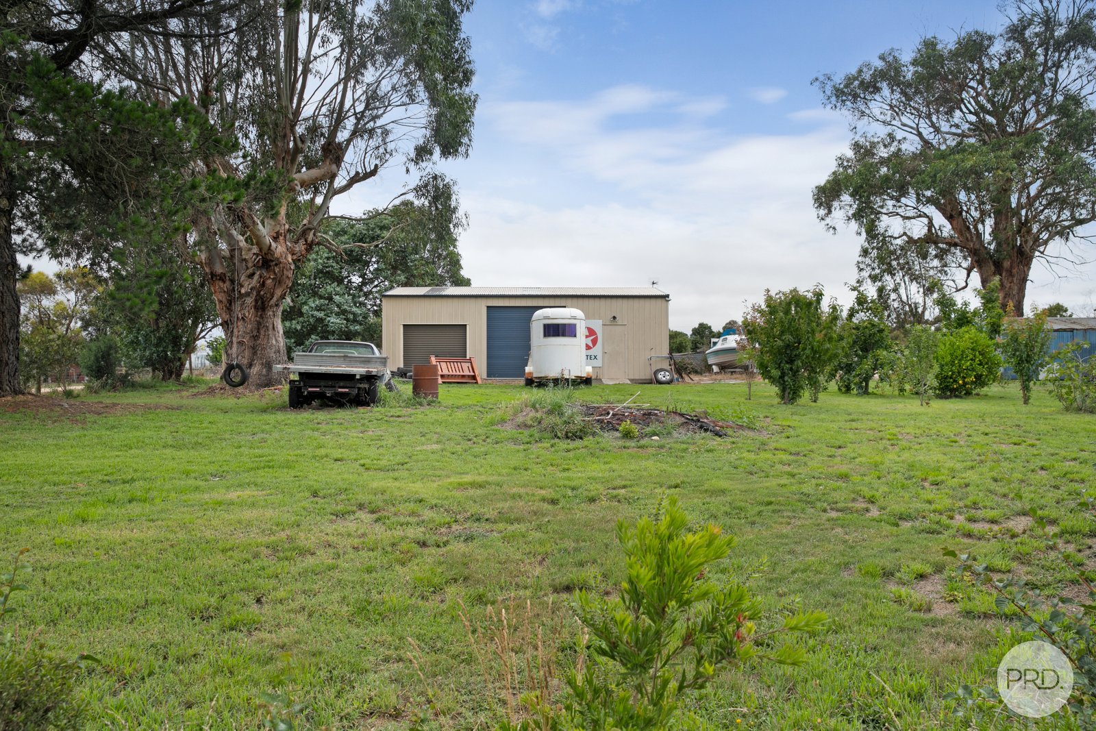 38 Elizabeth Street ALLENDALE 14