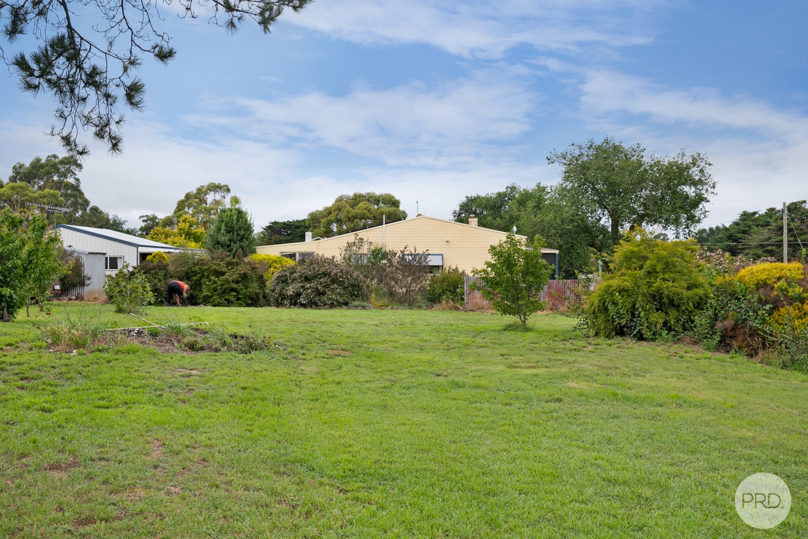 38 Elizabeth Street ALLENDALE 15