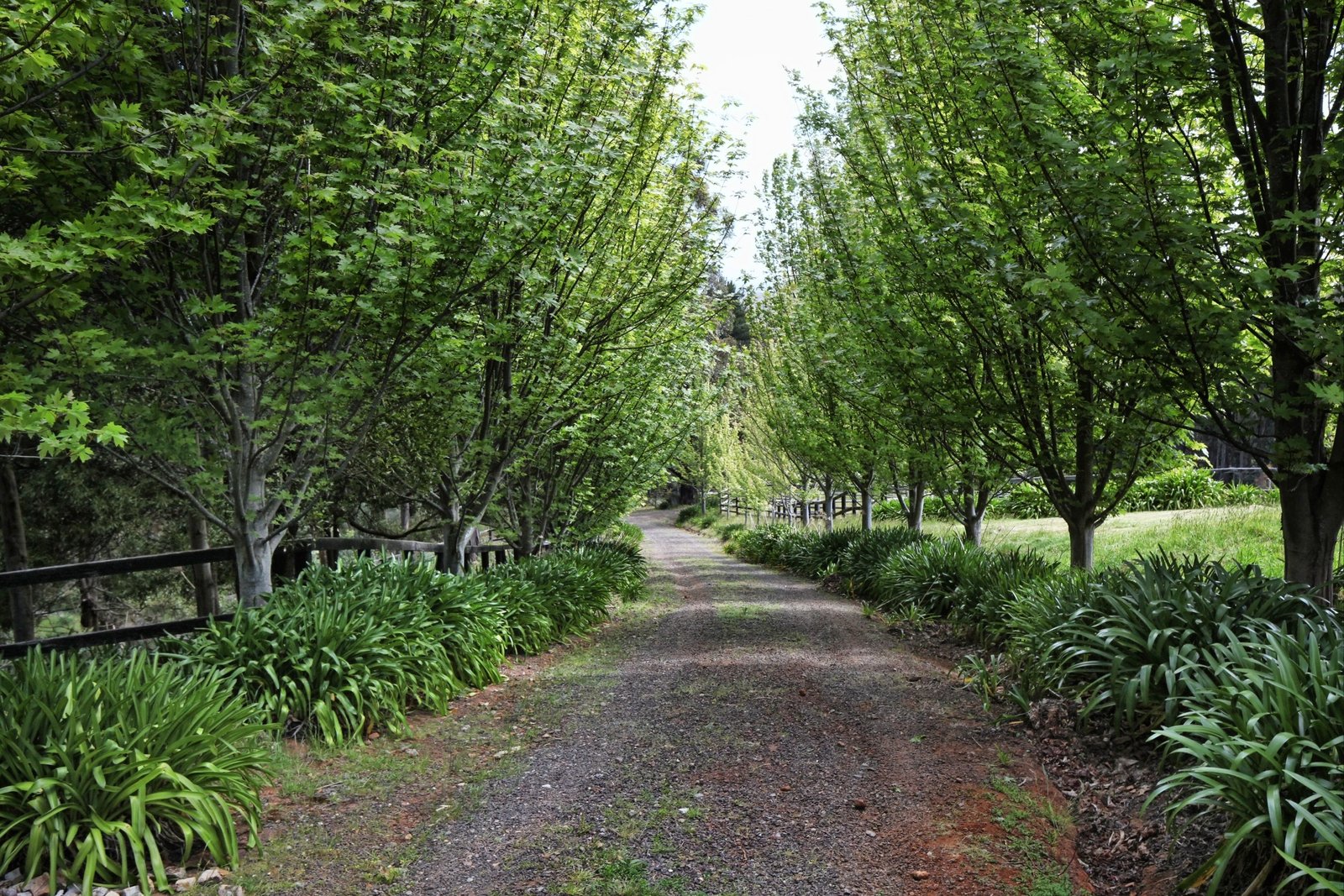 Real Estate and Property in 38 Glen Echo Court, Mount Macedon, VIC