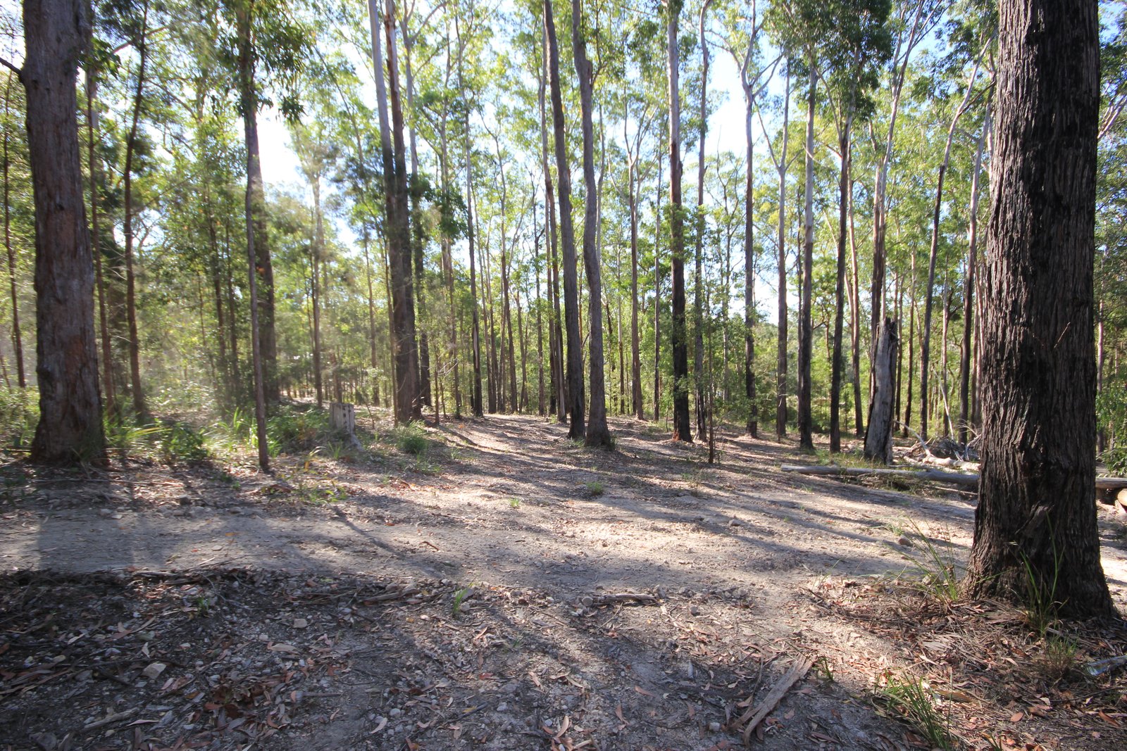 38 Glider Spur  KEW 7