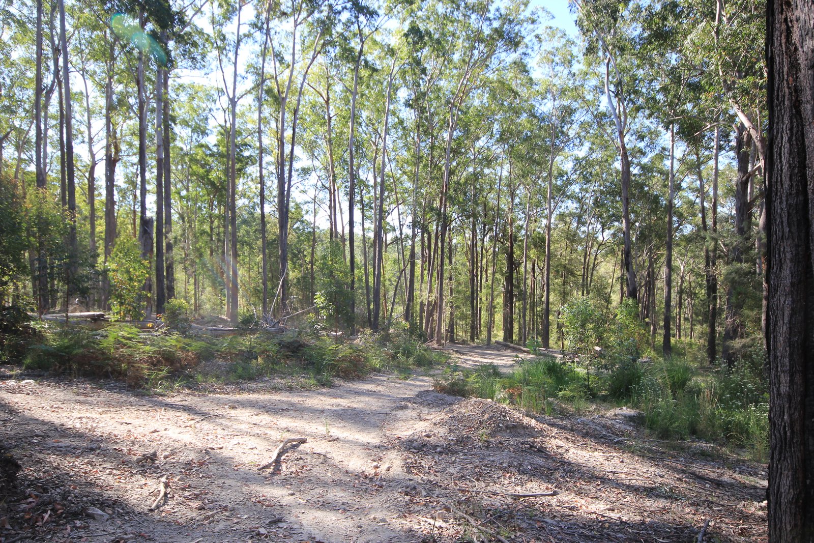 38 Glider Spur  KEW 8