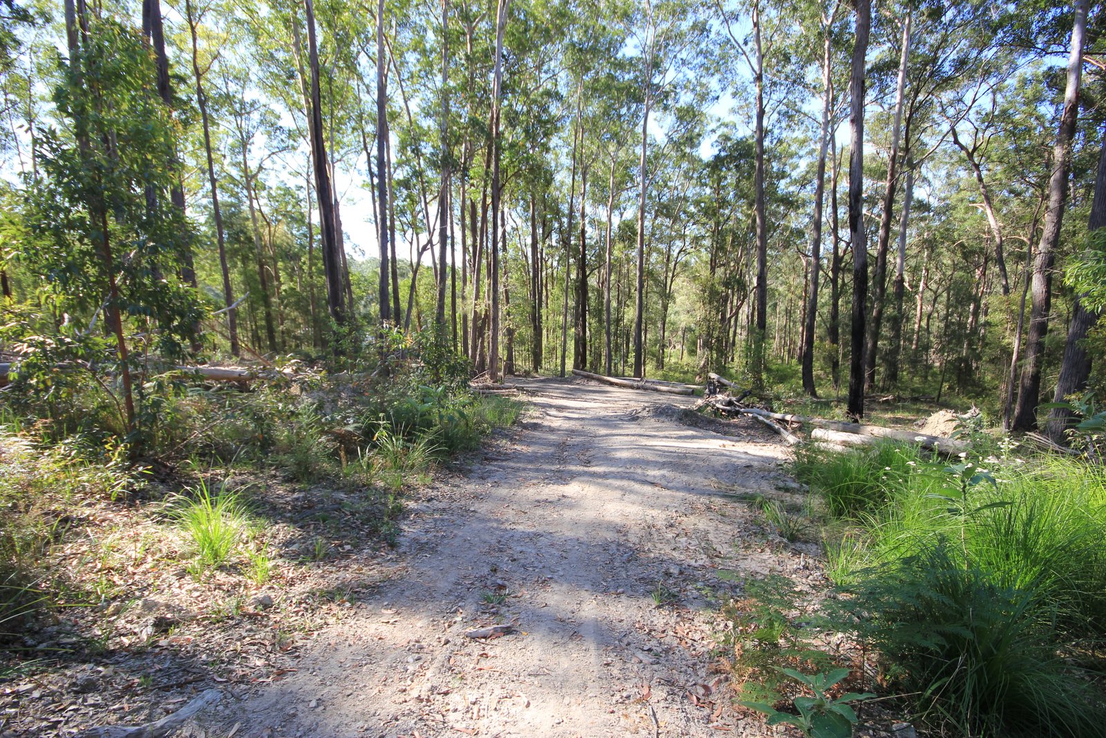 38 Glider Spur  KEW 9