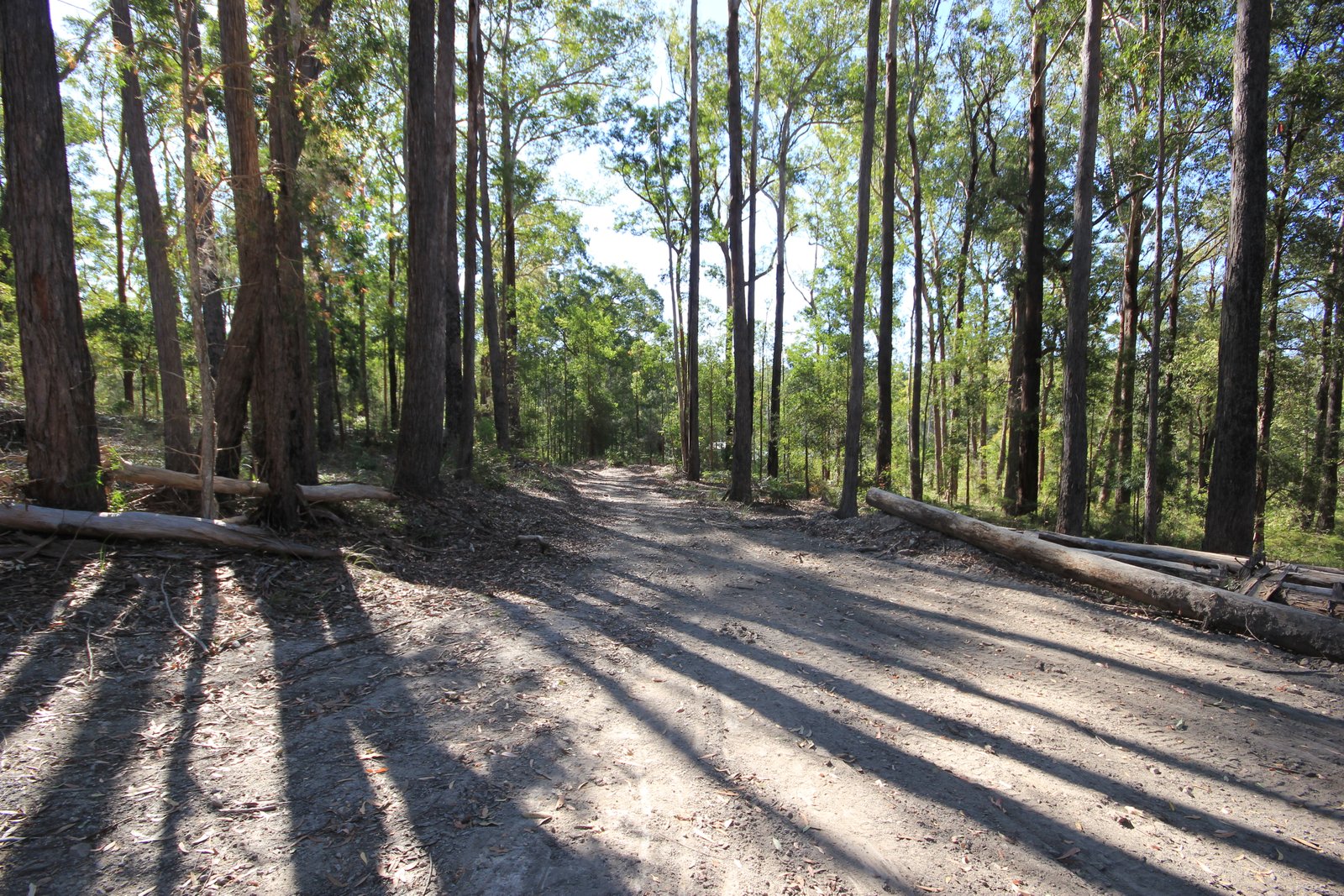 38 Glider Spur  KEW 10