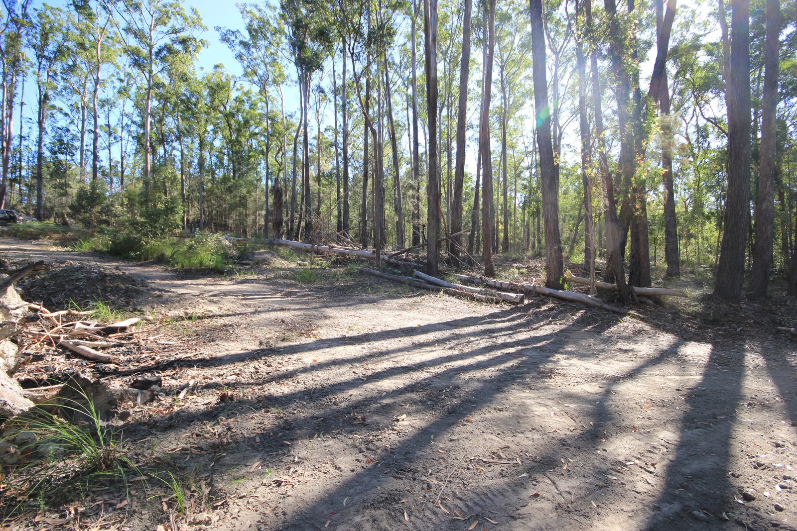 38 Glider Spur  KEW 11