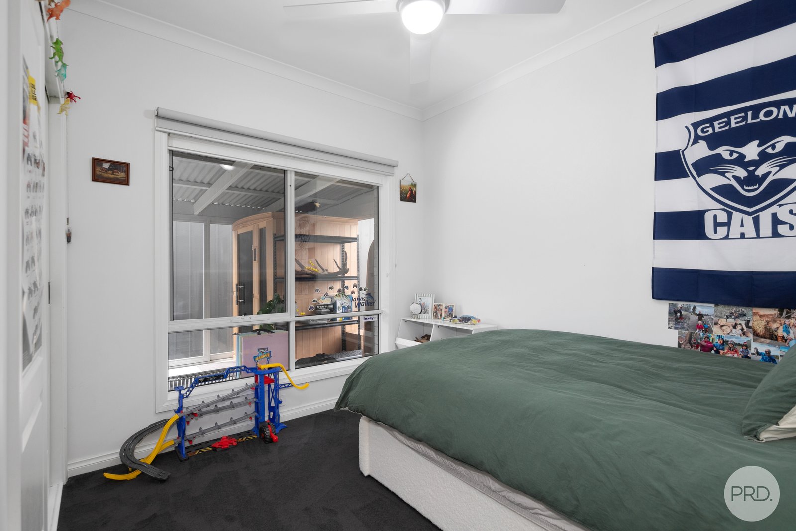 38 Heales Street SMYTHESDALE 10