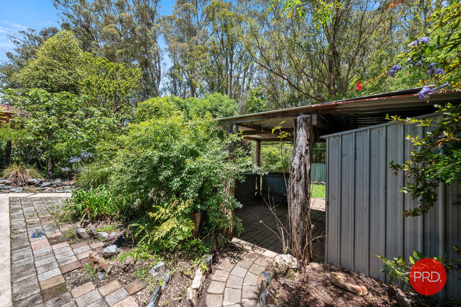 38 Hobbs Crescent TOORMINA 11