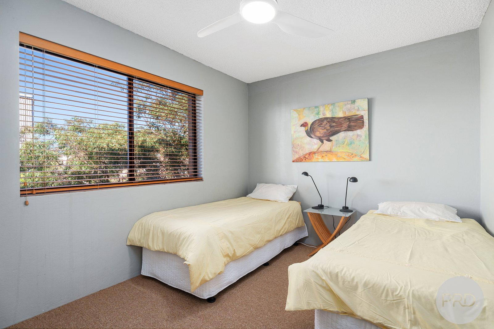 3/8 Intrepid Close NELSON BAY 18