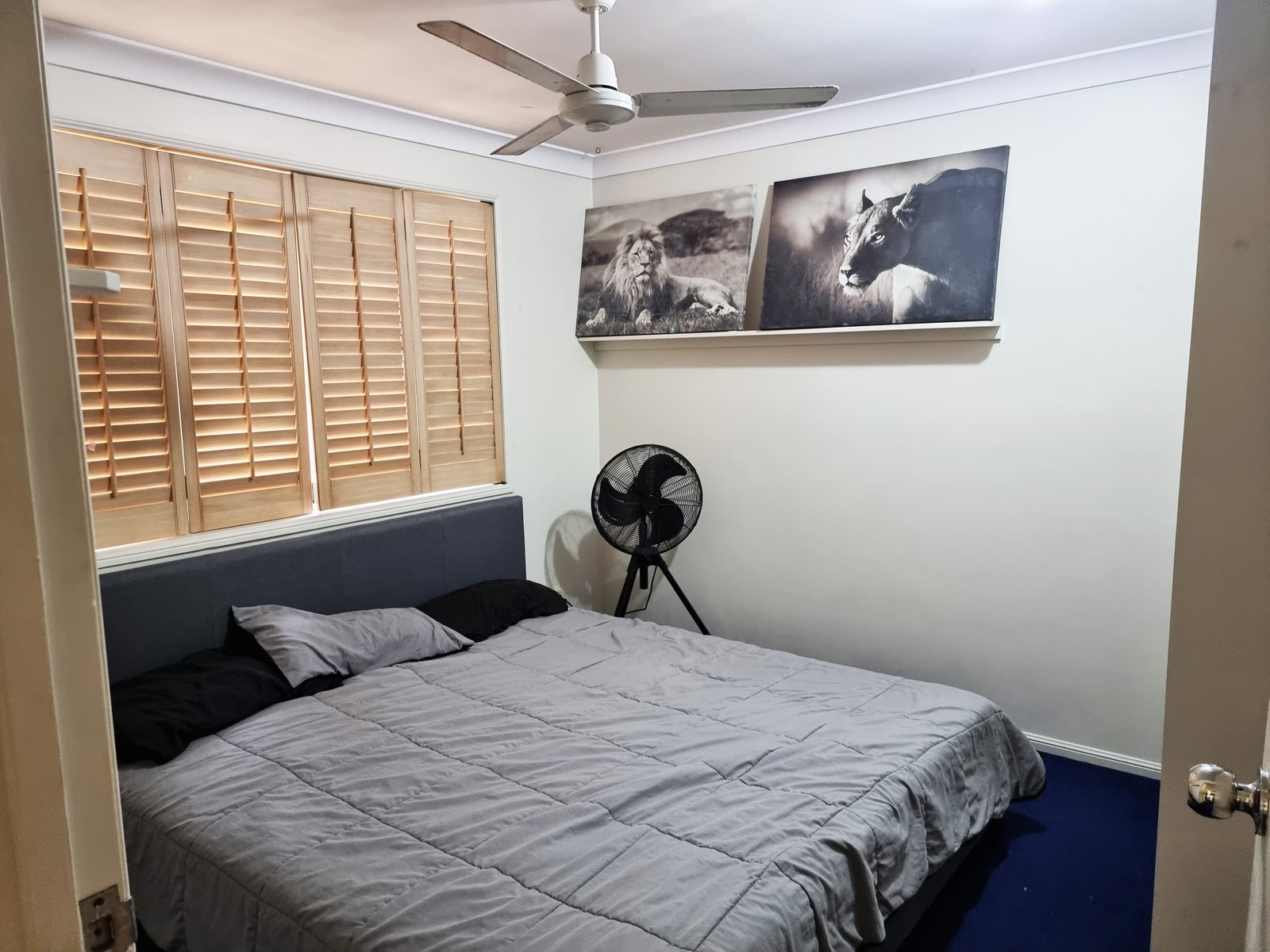 38 Jones Road CANNONVALE 8