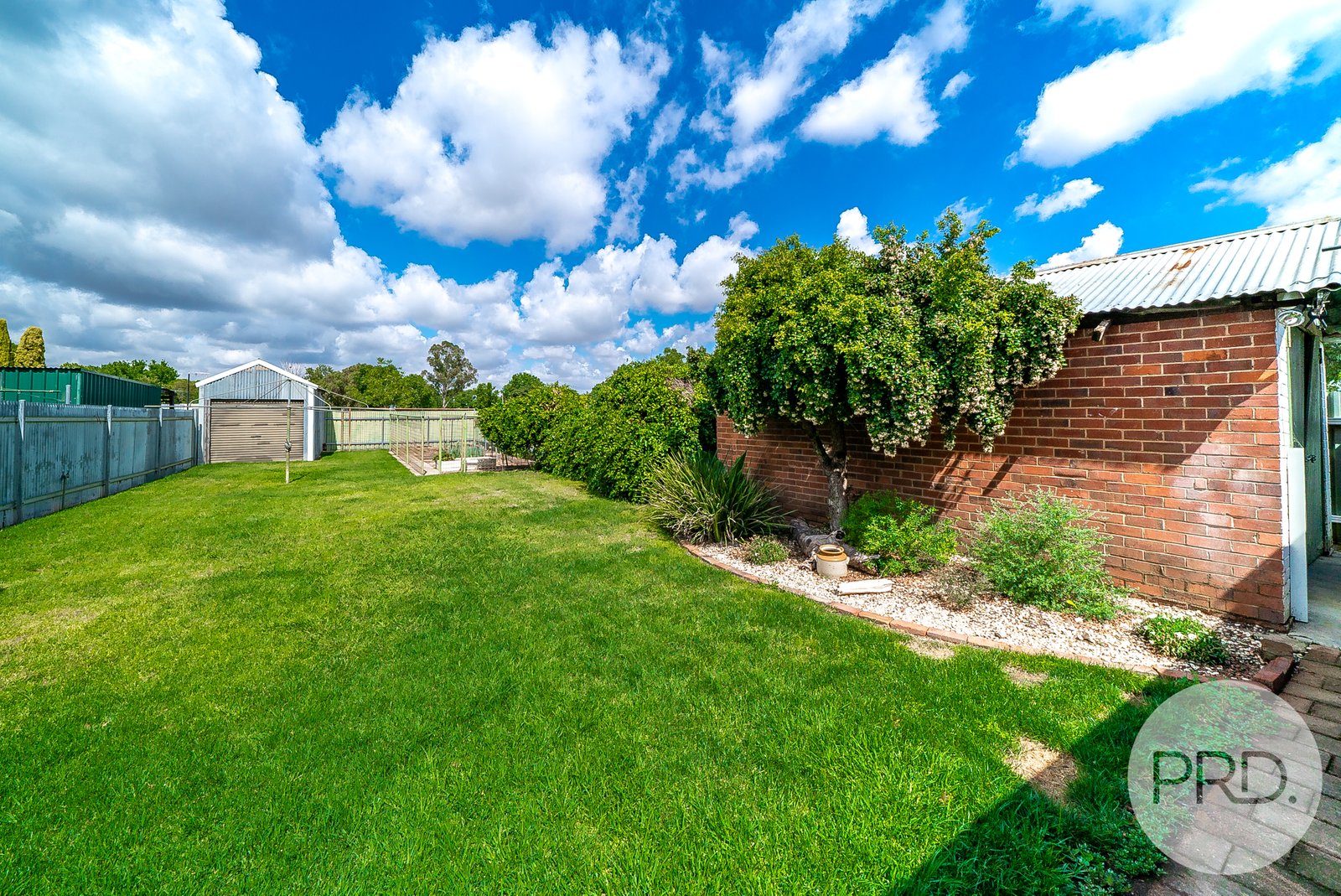 38 Mckinnon WAGGA WAGGA 10