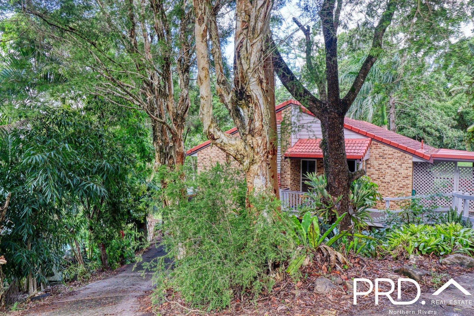 38 Mountain View Drive GOONELLABAH 19