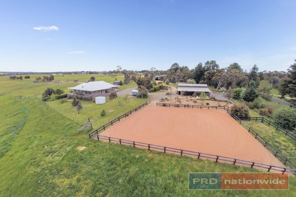 38 Old Glenelg Highway SCARSDALE 14