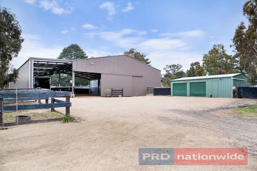 38 Old Glenelg Highway SCARSDALE 16