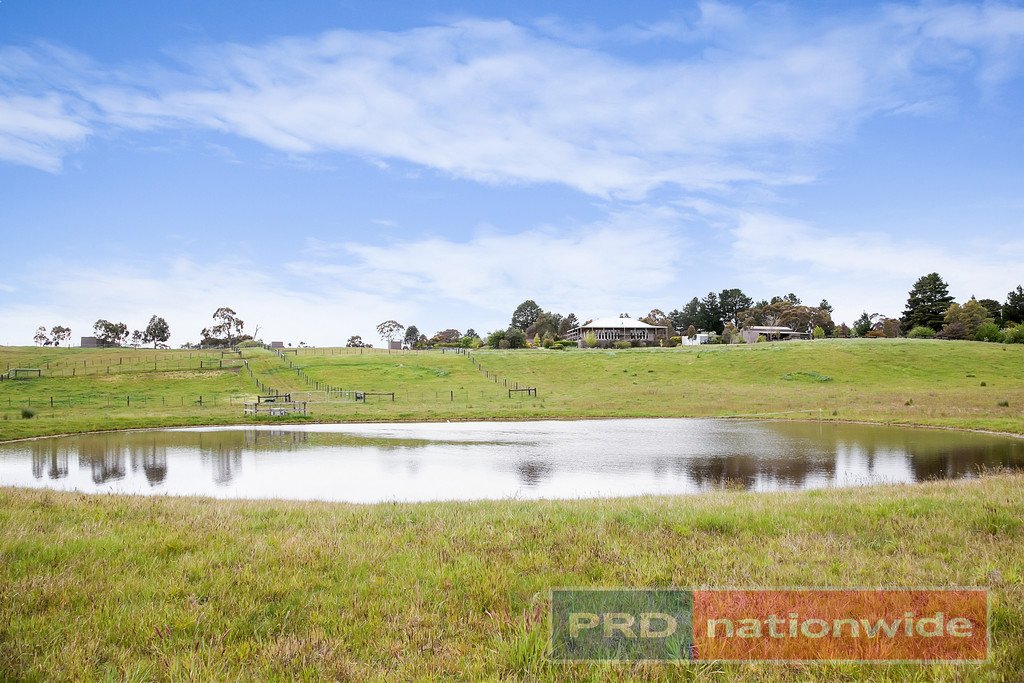 38 Old Glenelg Highway SCARSDALE 24