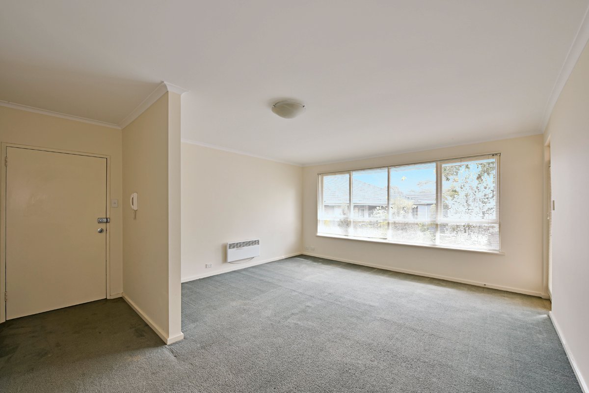 Gallery: 3/8 Osborne Avenue