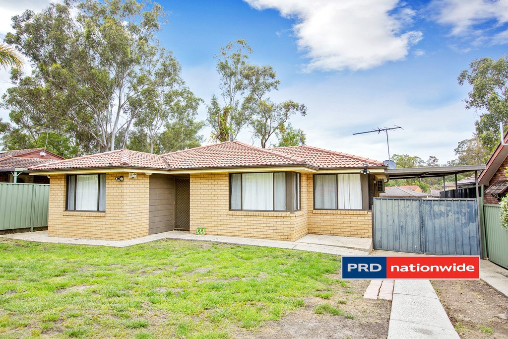 38 Seaton Road CRANEBROOK 11