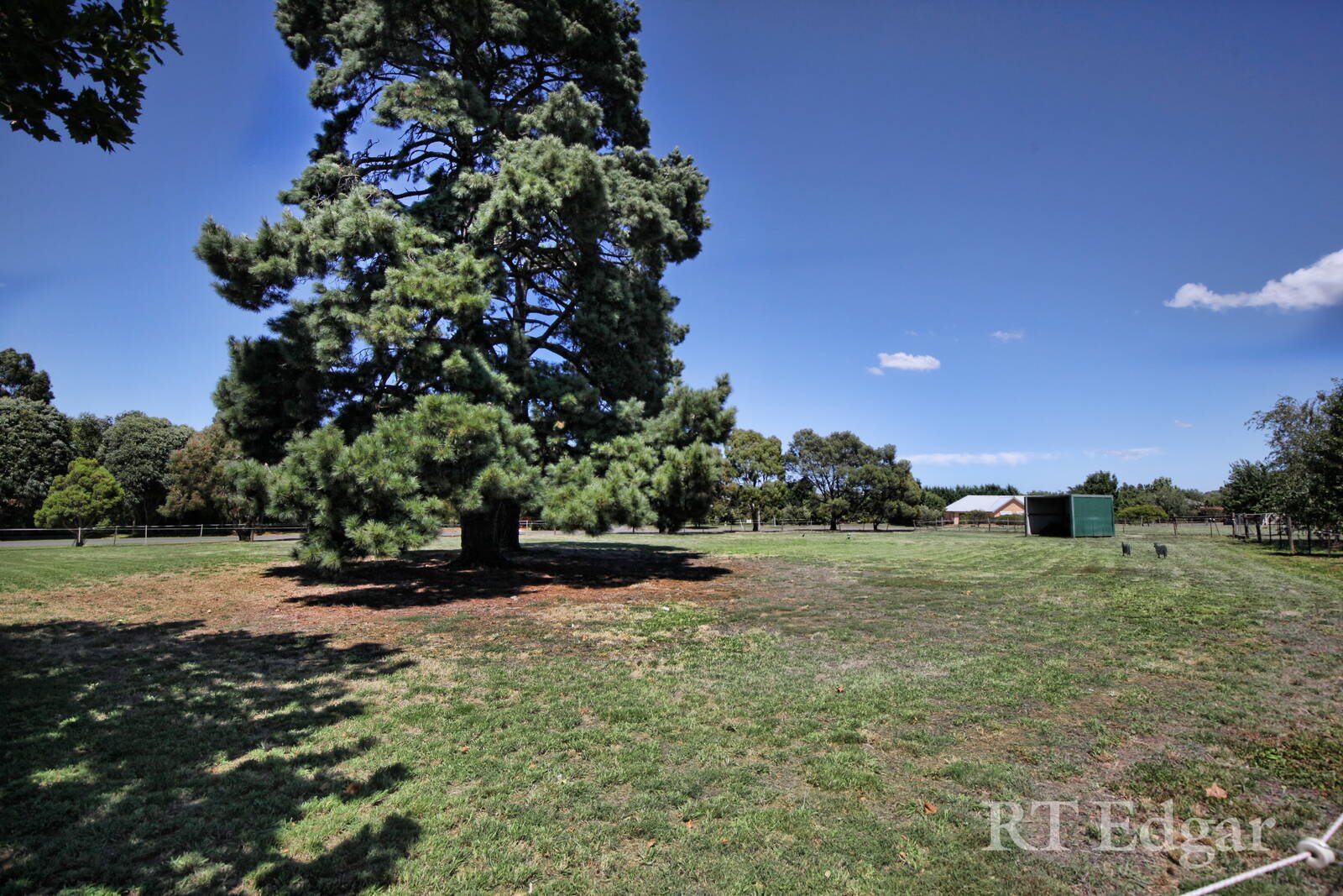 Real Estate and Property in 38 Stuartfield Avenue, Romsey, VIC