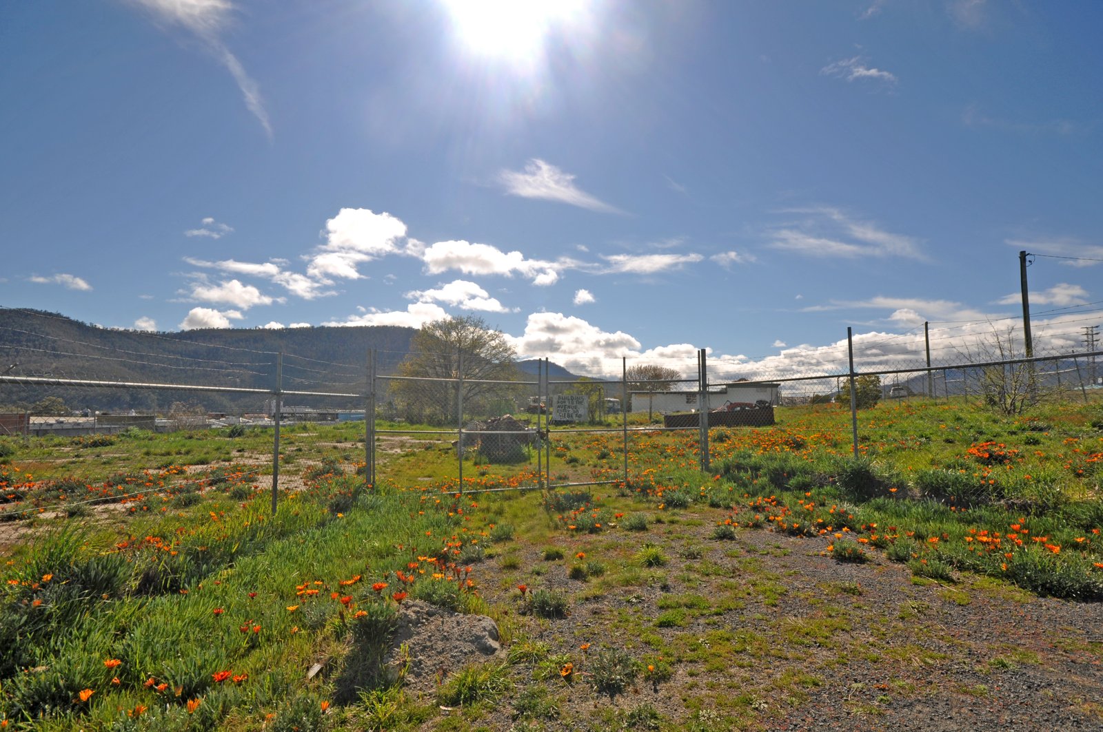 38 The Avenue NEW NORFOLK 4