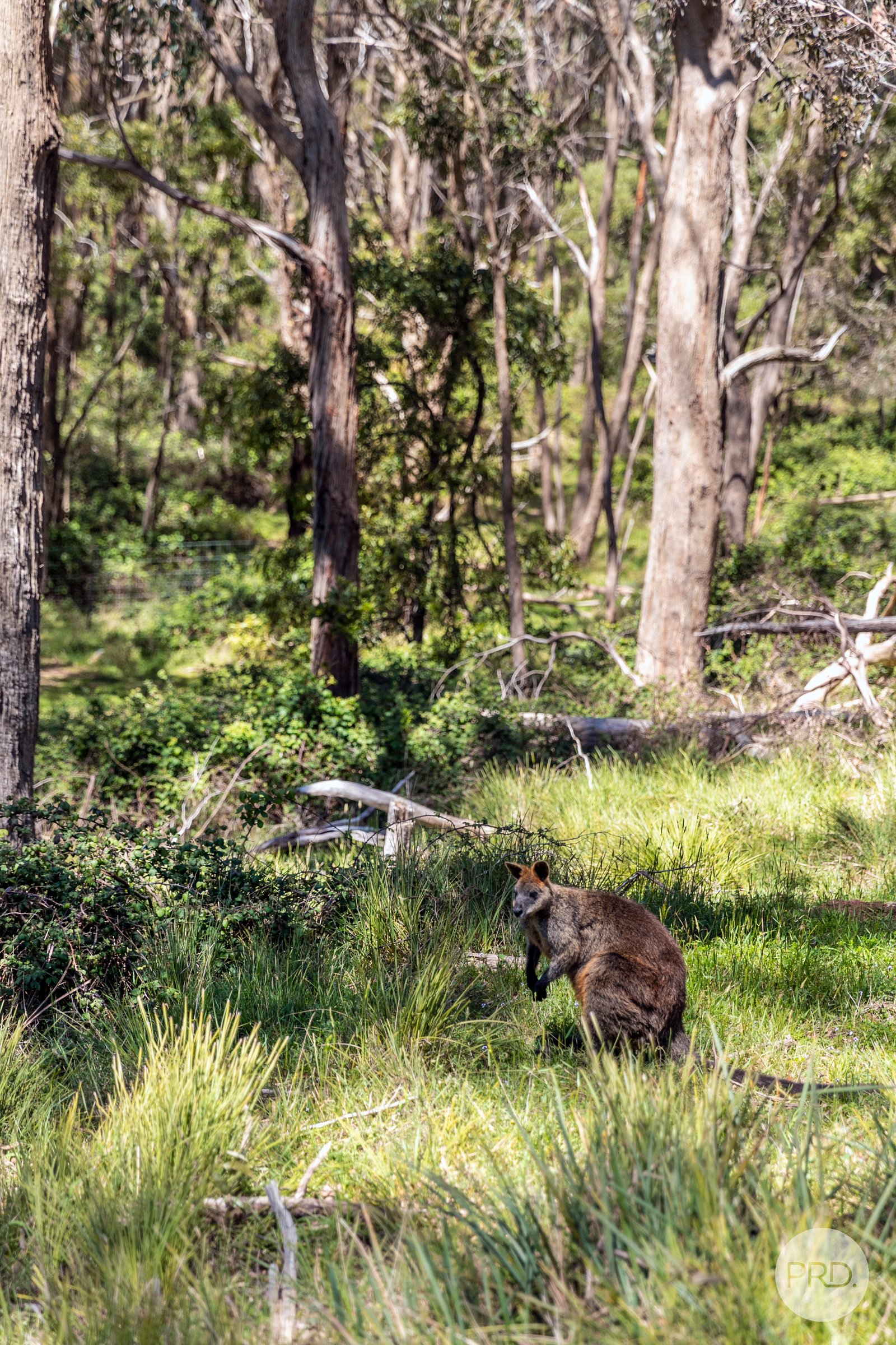 38 Trounces Lane MOUNT EGERTON 15