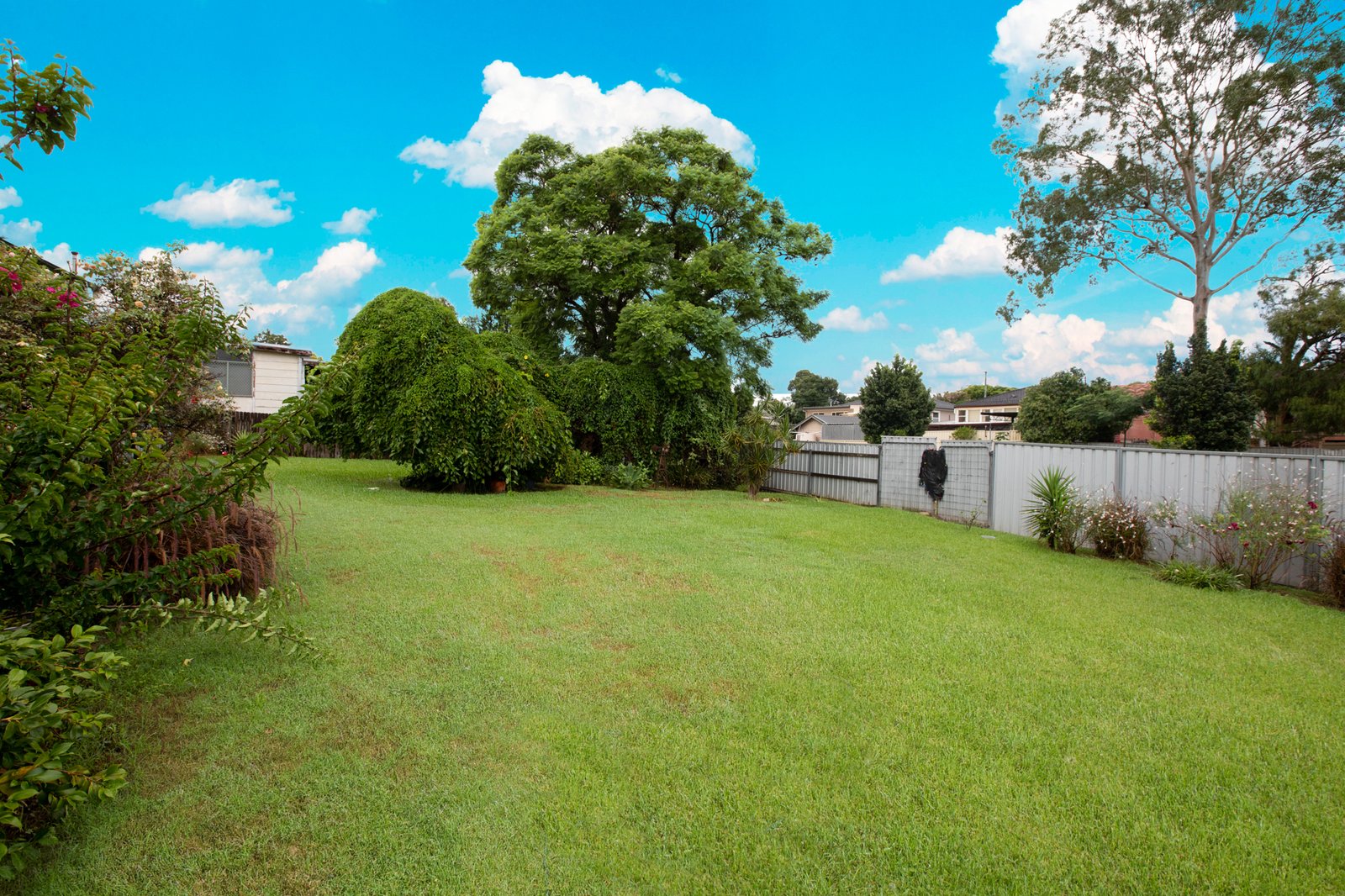 38 Vindin Street RUTHERFORD 11