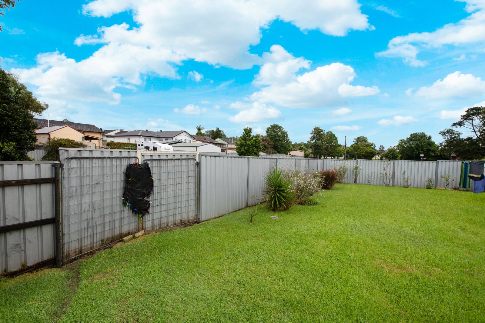 38 Vindin Street RUTHERFORD 13