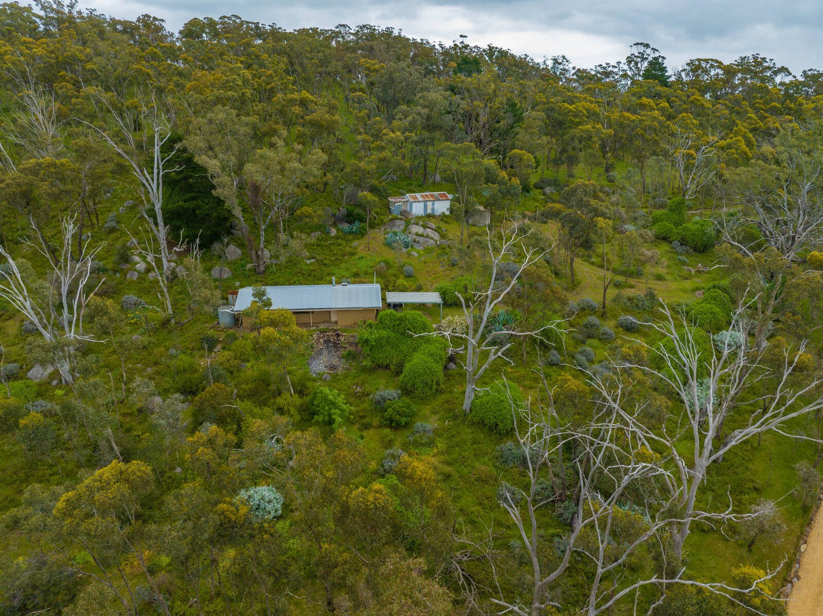 Gallery: 382 Specimen Gully Road