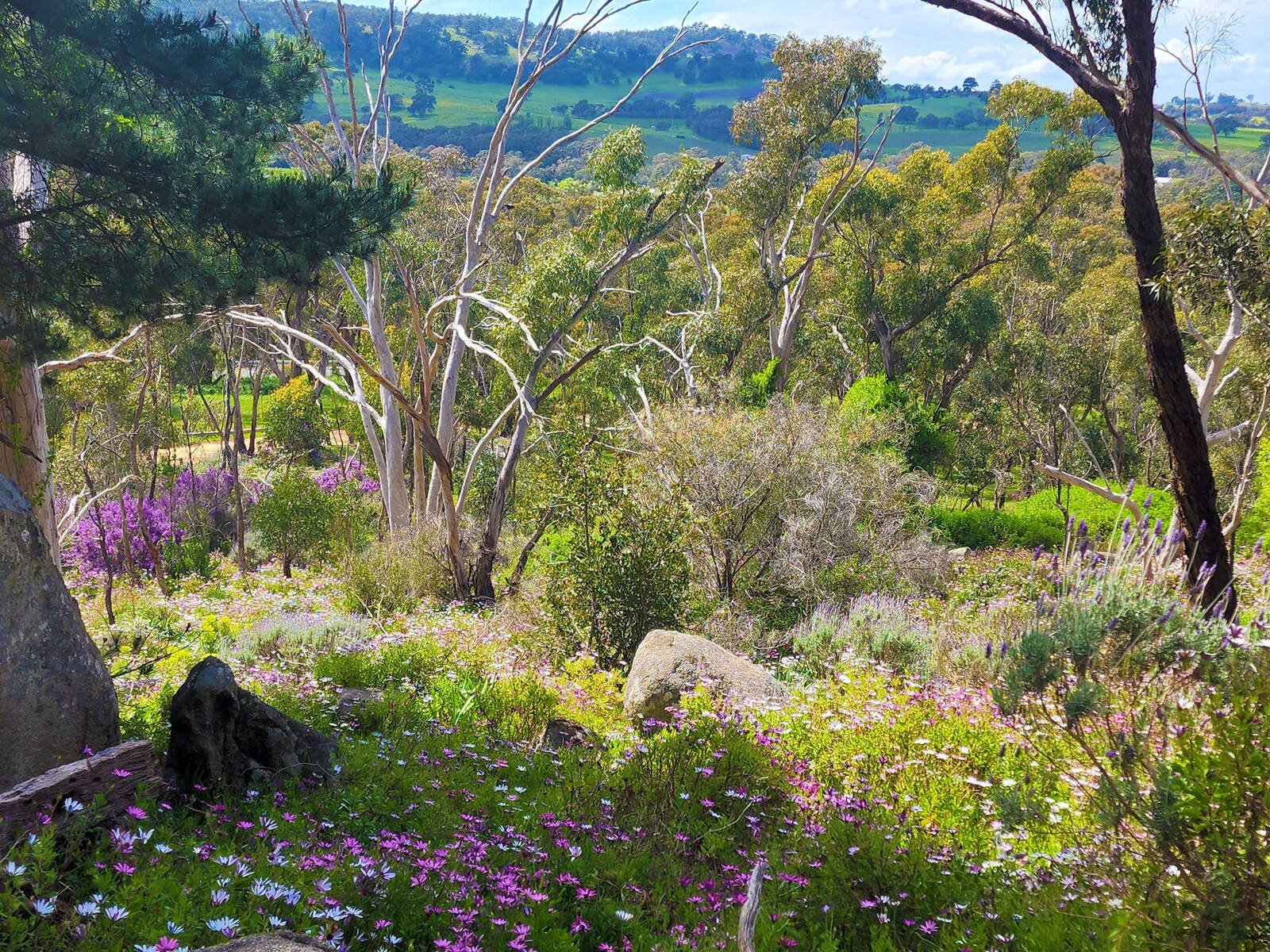 Gallery: 382 Specimen Gully Road