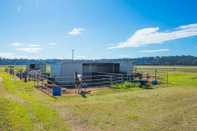 383 Long Point rd East  SINGLETON 19