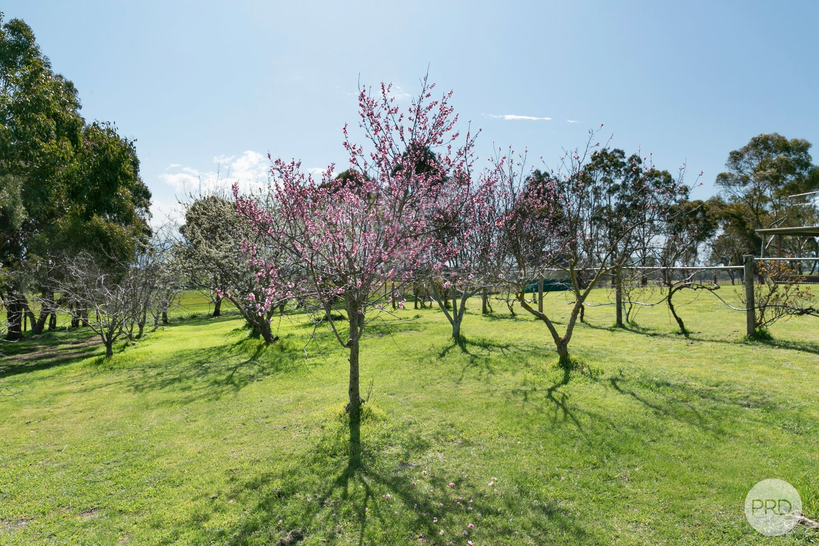 383 R Charlesons Road CRESWICK 25