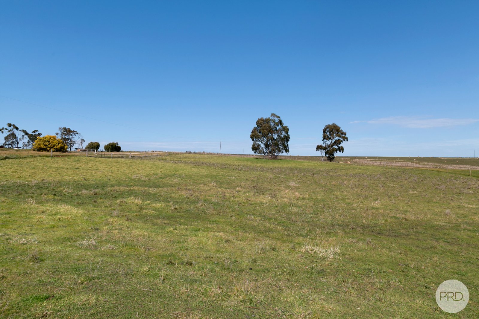 383R Charlesons Road CRESWICK NORTH 23