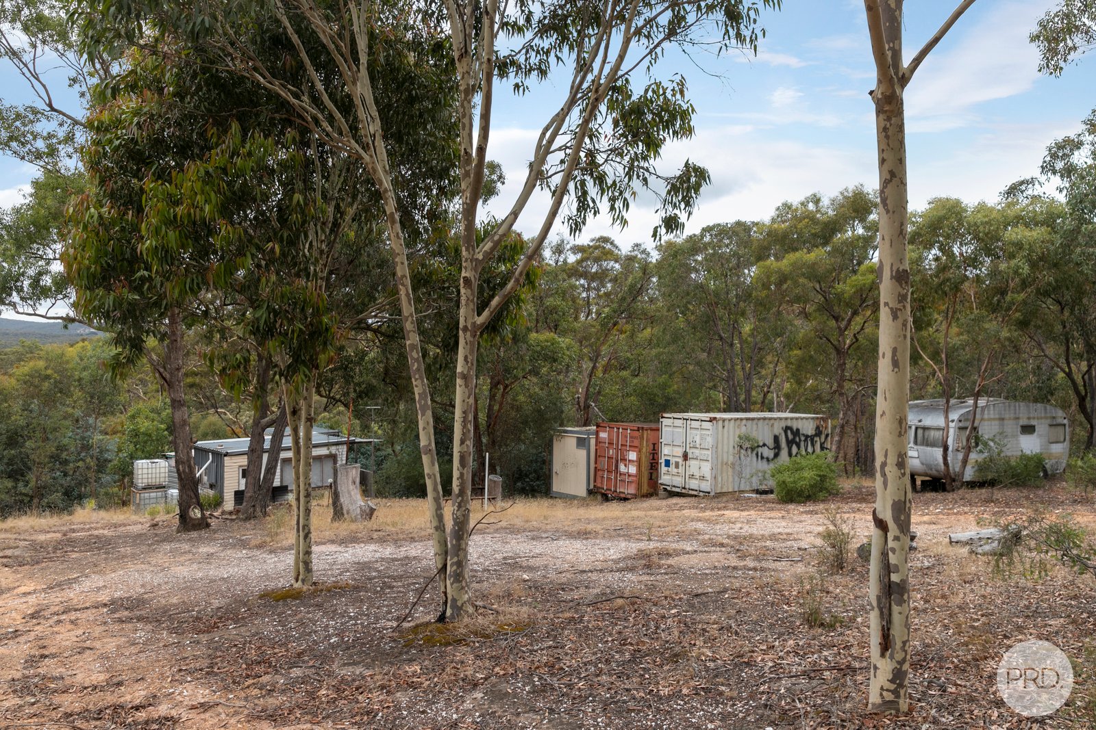 384 Browns Road DEREEL 6