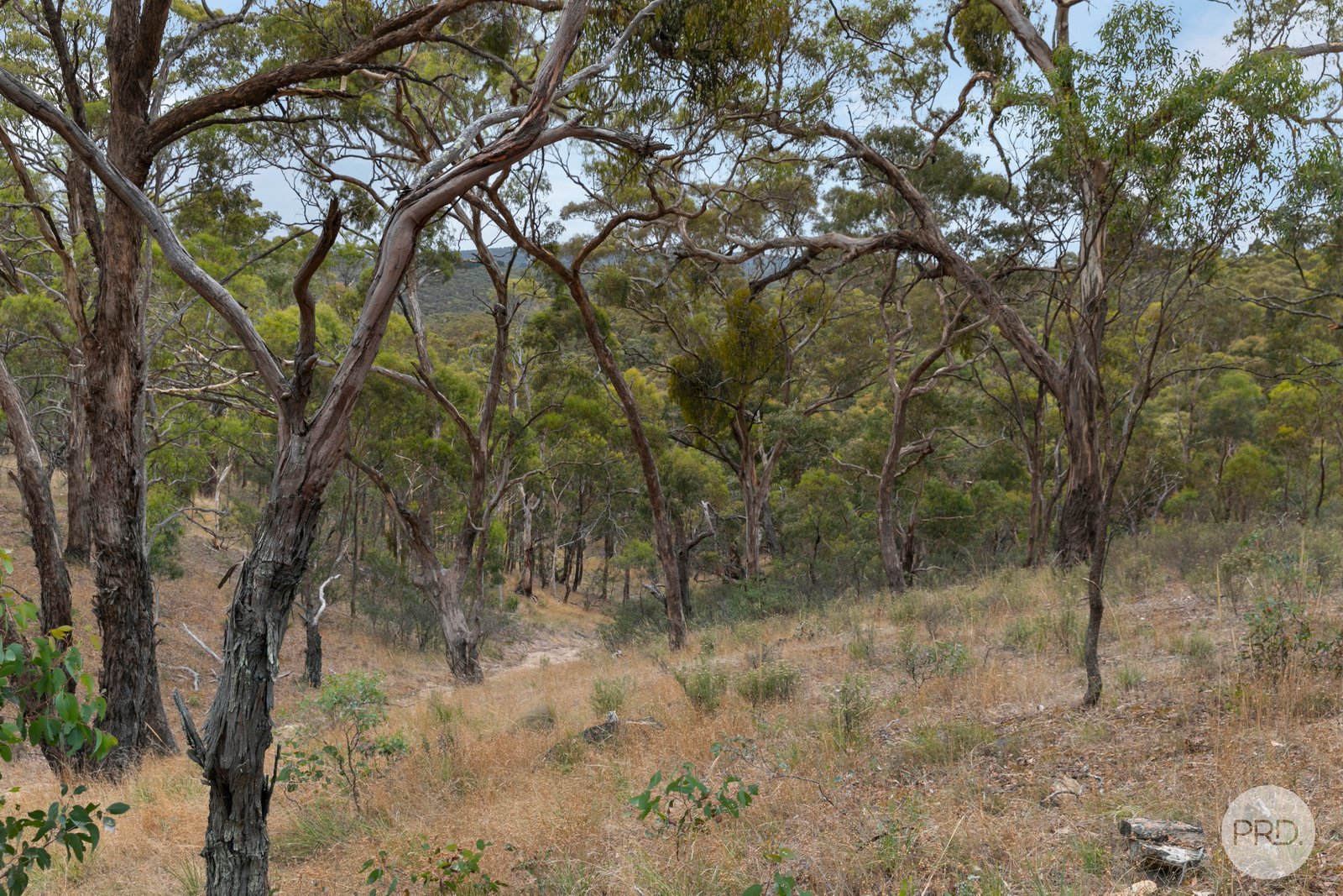384 Browns Road DEREEL 12