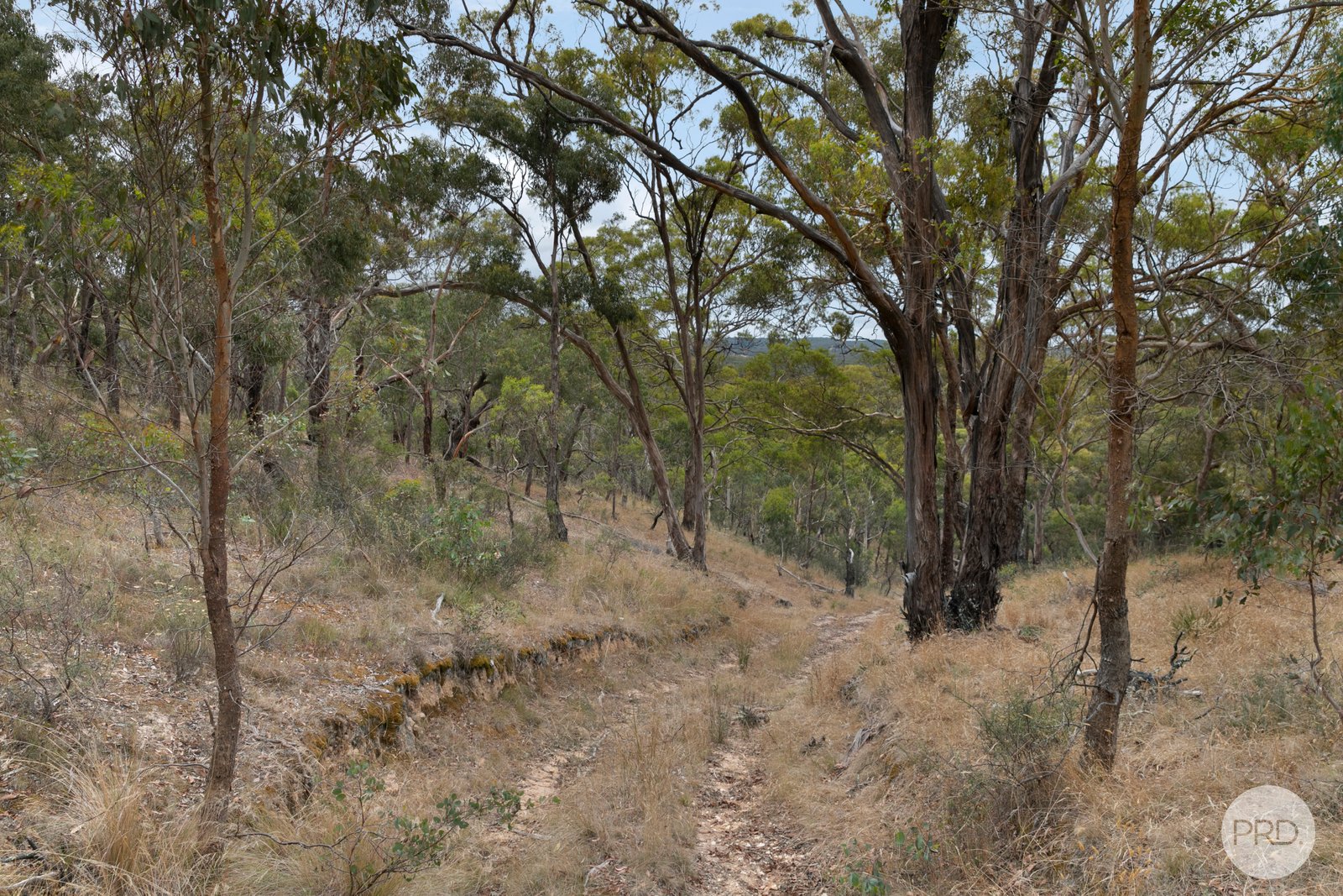 384 Browns Road DEREEL 13