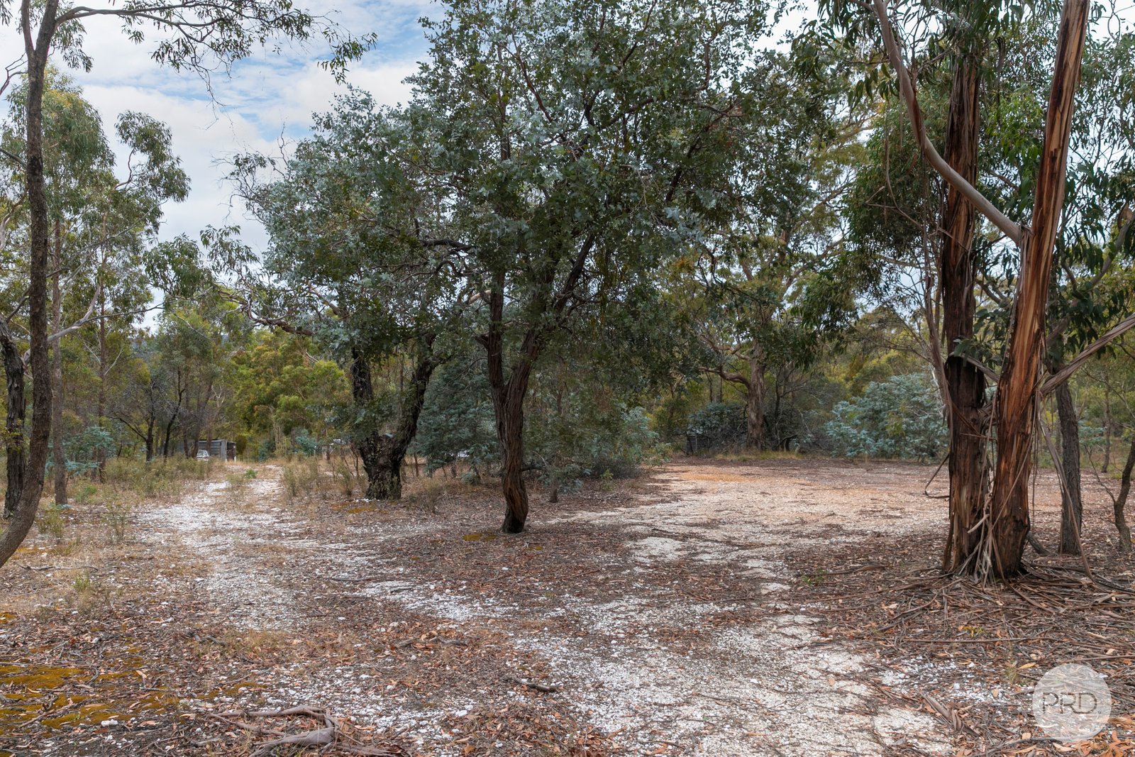 384 Browns Road DEREEL 14
